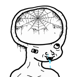 MINDVOID COIN