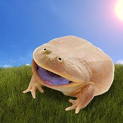 Polywog