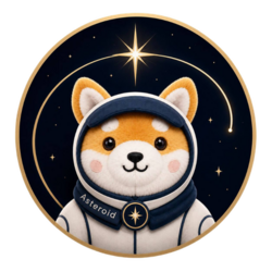 Asteroid The Space Shiba Inu