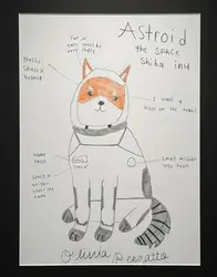 TheSpaceShibaInu