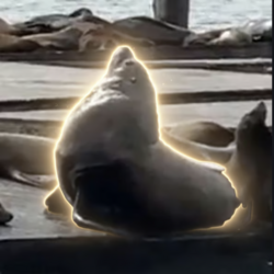 CHONKERS