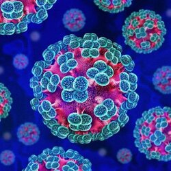Hantavirus