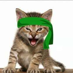 Green Kitten Crew