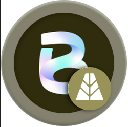 bAUSD