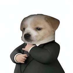 Dog In A Suit