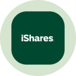 iShares 3-7 Year Treasury Bond ETF (Ondo Tokenized)