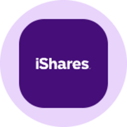 iShares S&P Small-Cap 600 Value ETF (Ondo Tokenized)