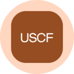 US Copper Index Fund (Ondo Tokenized)