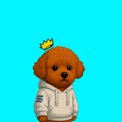 Meelo The Pup