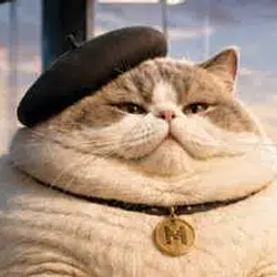 Le gros chaton