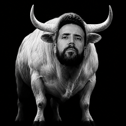 The White Bull
