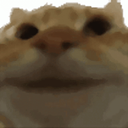 yepcat