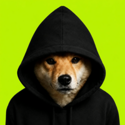 Dog In Hood
