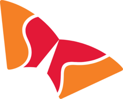 SK Hynix - Backpack Securities