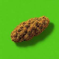 Nuggies