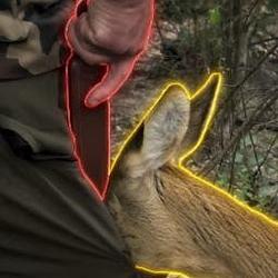 The Rousseauian Deer