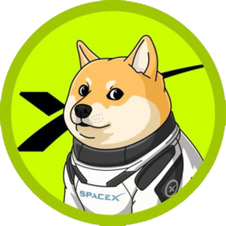 DOGE-1