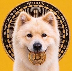 BUDDY - First Crypto Dog