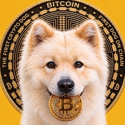 BUDDY - First Crypto Dog