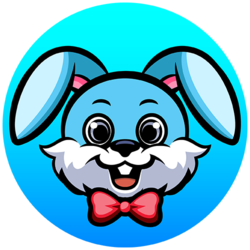 Crazy Bunny Equity T...