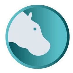Hippopotamus