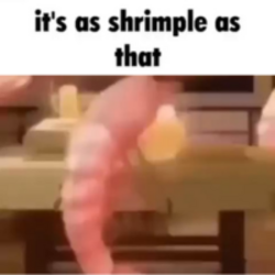 its as shrimple as t...