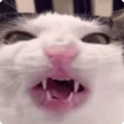 Crunchycat