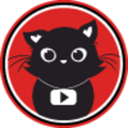 The First Youtube Ca...