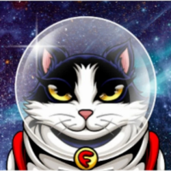 felicette the space ...