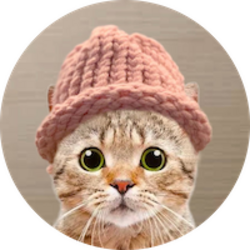 CatWifHat 