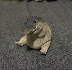 gomu gator