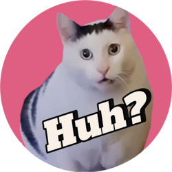 huh cat