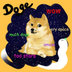 doge in a memes worl...