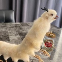Drunk Chicken Centip...