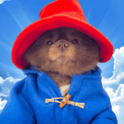 Bertram The Pomerani...