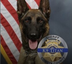 K-9 Killed in Shooto...