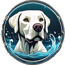 TikTok Splash Dog