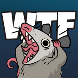 WTF Opossum 