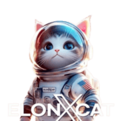 ElonXCat