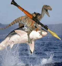 shark raptor rocket ...