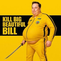 KILL BIG BEAUTIFUL B...