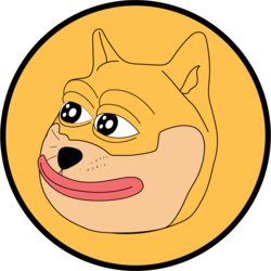 all in doge