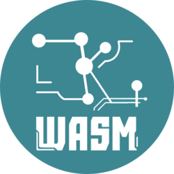 ZKWASM Token