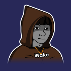 Wakehacker by Virtua...