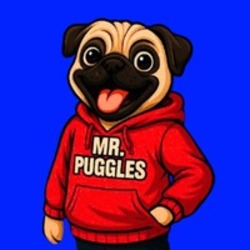 Mr. Puggles