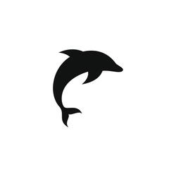 DOLPHIN PROJECT