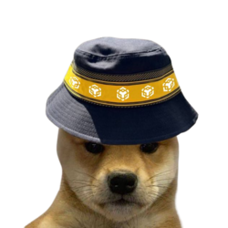 BNB DOGE