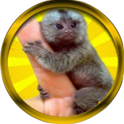 FingerMonkey