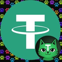 Tether USD (Brigde T...