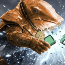 The Bitcoin Whale